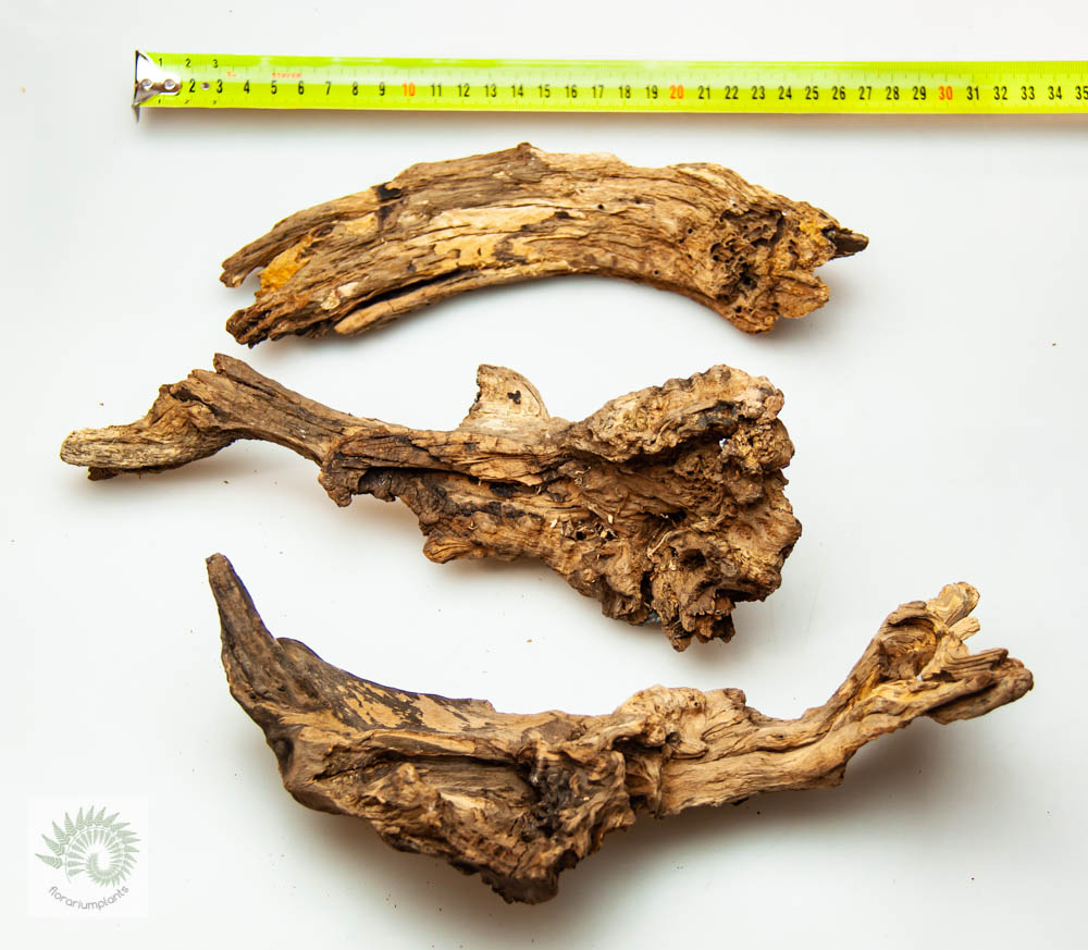 Натуральная коряга корень дуба M,  L 15-25 см, 200-300 грамм