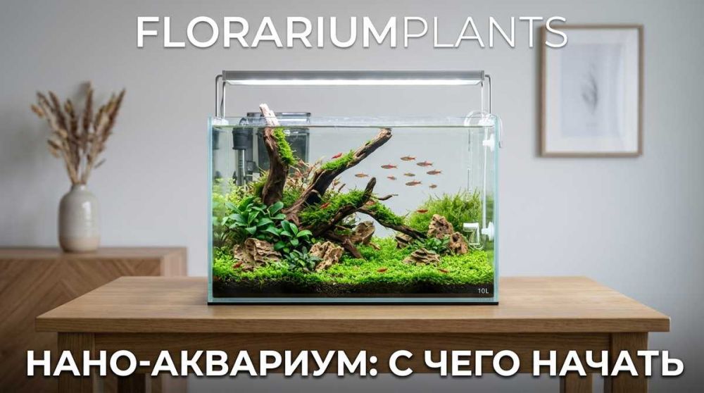 Нано-аквариум 5-10 литров