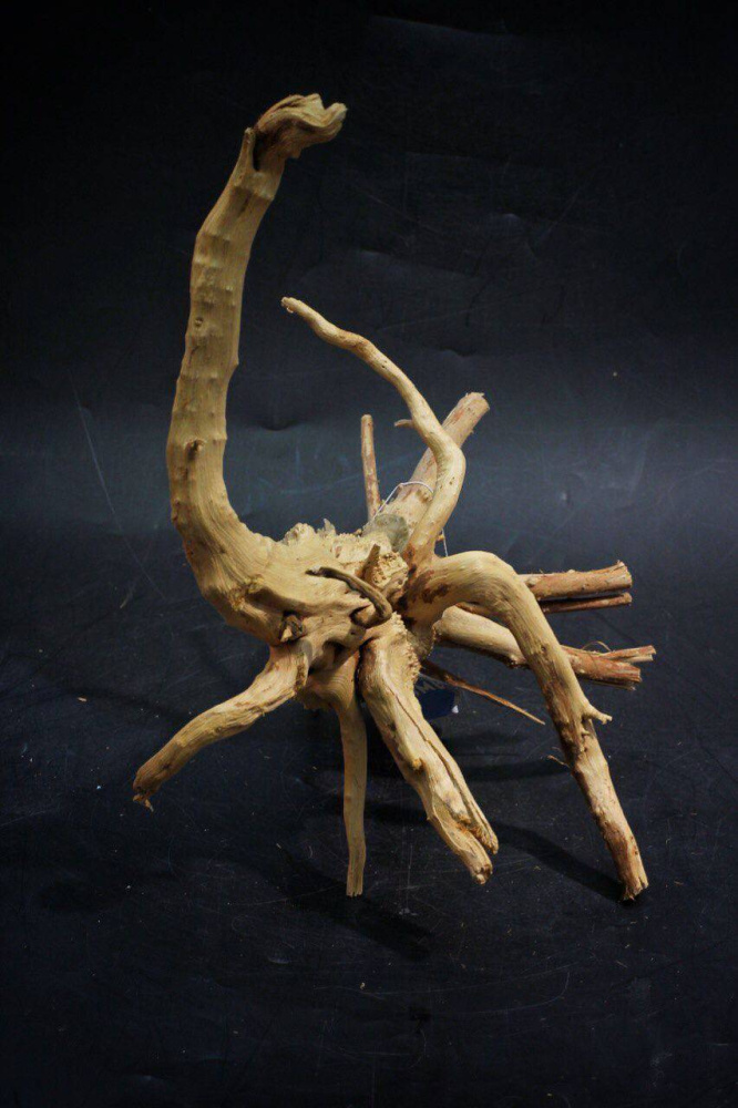 Коряга красная Сакура, 20-30 см