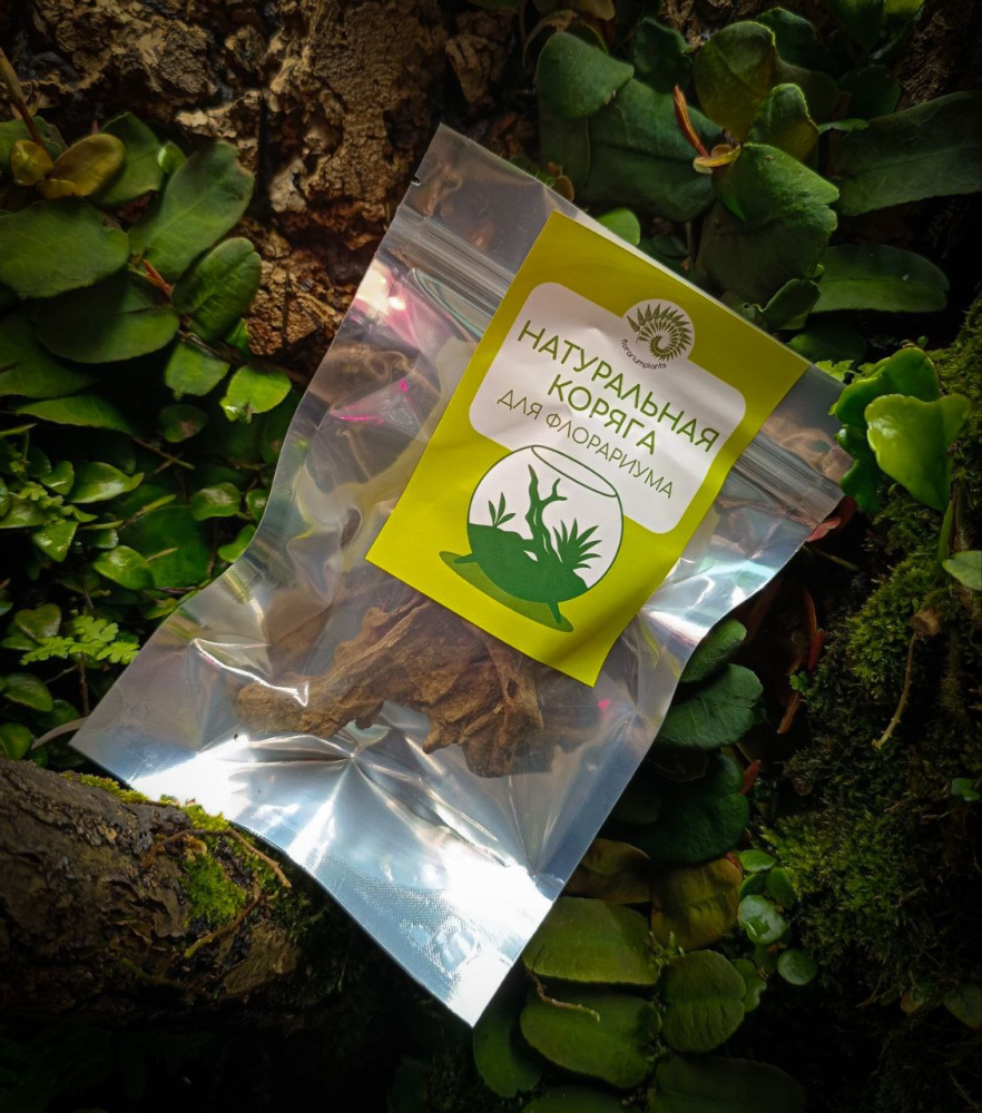 Коряга затонувшая Florariumplants, 10-15 см