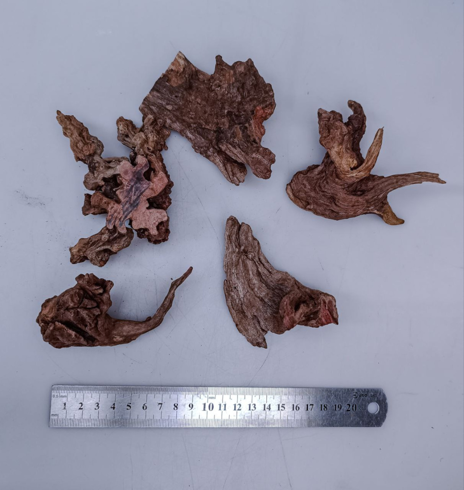 Коряга затонувшая Florariumplants, 5-10 см